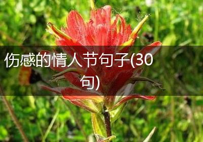 伤感的情人节句子(30句)
