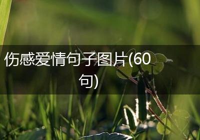 伤感爱情句子图片(60句)