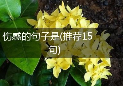 伤感的句子是(推荐15句)