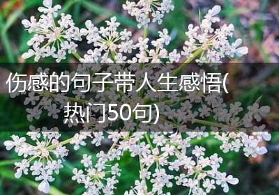 伤感的句子带人生感悟(热门50句)