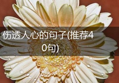 伤透人心的句子(推荐40句)
