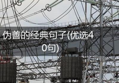 伪善的经典句子(优选40句)