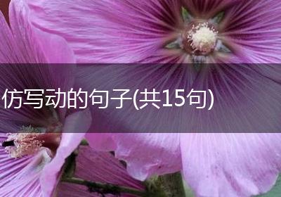 仿写动的句子(共15句)