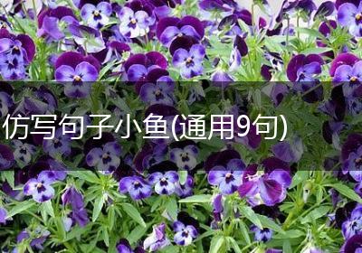 仿写句子小鱼(通用9句)