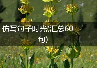 仿写句子时光(汇总60句)