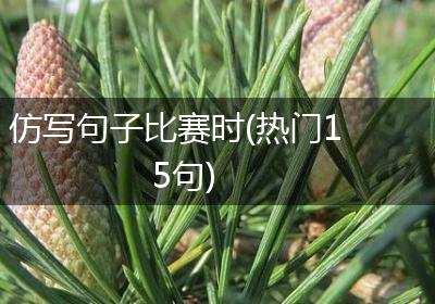 仿写句子比赛时(热门15句)