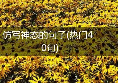 仿写神态的句子(热门40句)