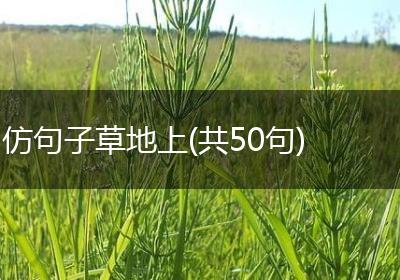 仿句子草地上(共50句)