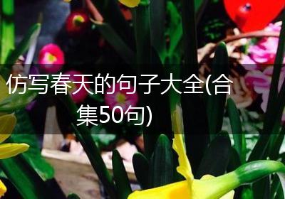 仿写春天的句子大全(合集50句)