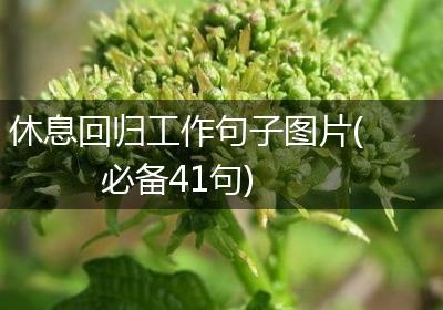 休息回归工作句子图片(必备41句)