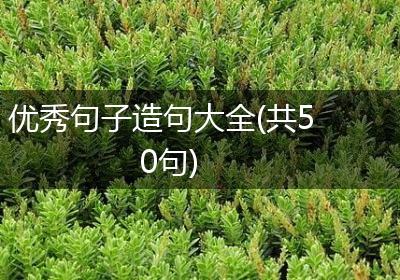 优秀句子造句大全(共50句)