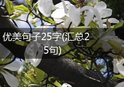 优美句子25字(汇总25句)