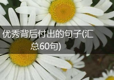 优秀背后付出的句子(汇总60句)