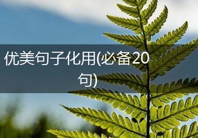 优美句子化用(必备20句)
