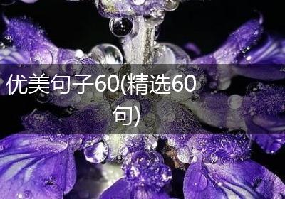 优美句子60(精选60句)