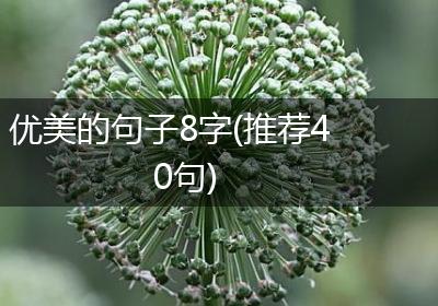 优美的句子8字(推荐40句)
