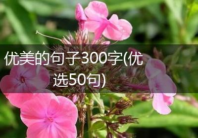 优美的句子300字(优选50句)