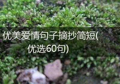 优美爱情句子摘抄简短(优选60句)