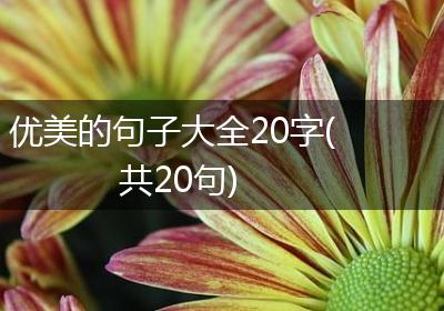 优美的句子大全20字(共20句)