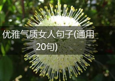 优雅气质女人句子(通用20句)