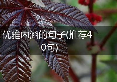 优雅内涵的句子(推荐40句)