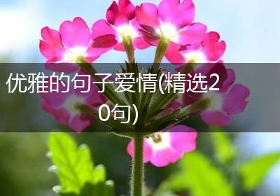 优雅的句子爱情(精选20句)