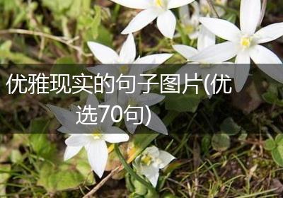 优雅现实的句子图片(优选70句)