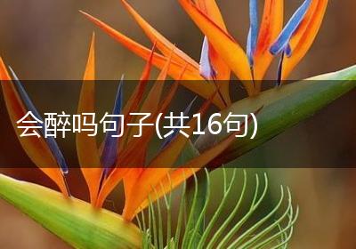 会醉吗句子(共16句)