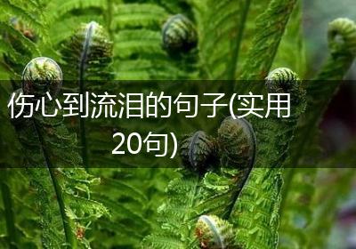 伤心到流泪的句子(实用20句)