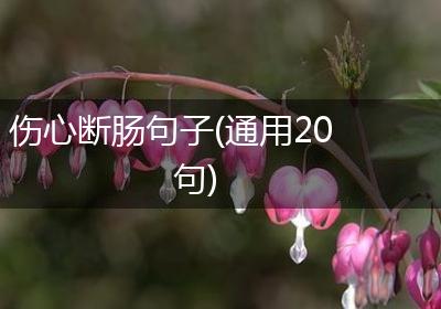 伤心断肠句子(通用20句)
