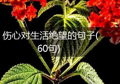伤心对生活绝望的句子(60句)