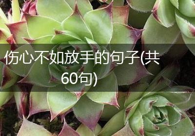 伤心不如放手的句子(共60句)