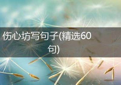 伤心坊写句子(精选60句)