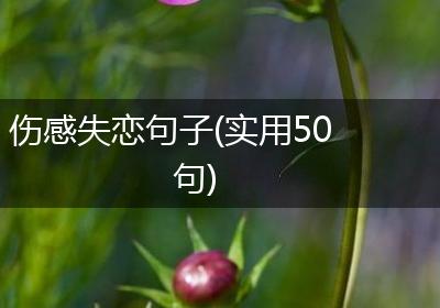 伤感失恋句子(实用50句)