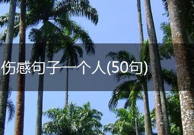 伤感句子一个人(50句)