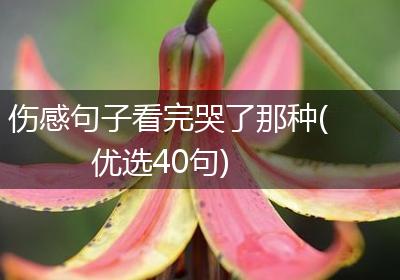 伤感句子看完哭了那种(优选40句)