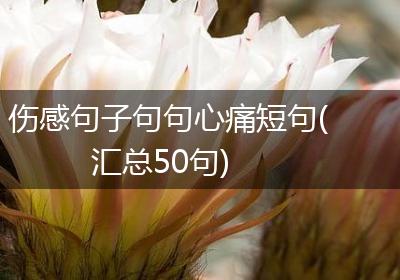 伤感句子句句心痛短句(汇总50句)