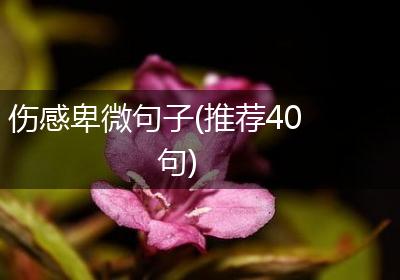 伤感卑微句子(推荐40句)