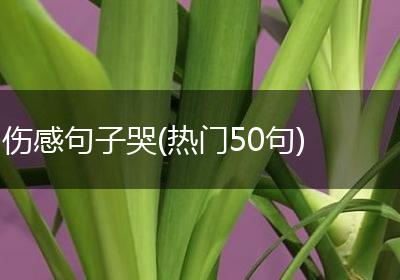 伤感句子哭(热门50句)