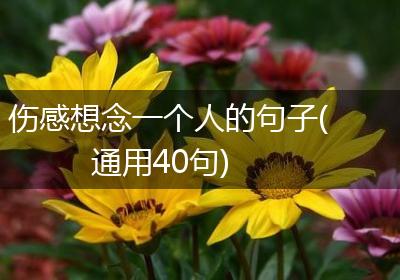 伤感想念一个人的句子(通用40句)