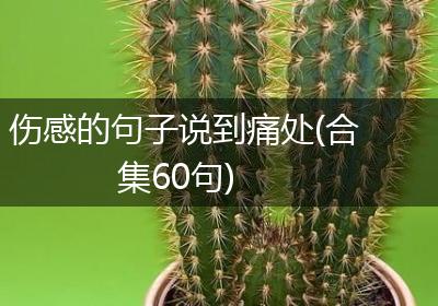 伤感的句子说到痛处(合集60句)