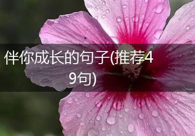 伴你成长的句子(推荐49句)