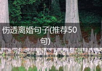 伤透离婚句子(推荐50句)