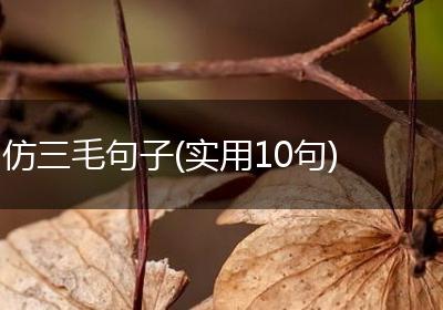 仿三毛句子(实用10句)