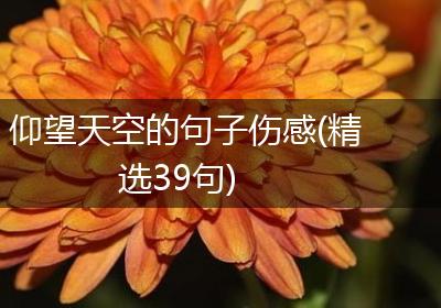 仰望天空的句子伤感(精选39句)
