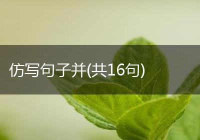 仿写句子并(共16句)