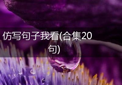 仿写句子我看(合集20句)