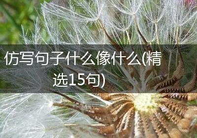 仿写句子什么像什么(精选15句)
