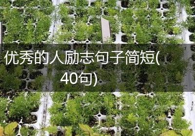 优秀的人励志句子简短(40句)