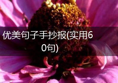 优美句子手抄报(实用60句)